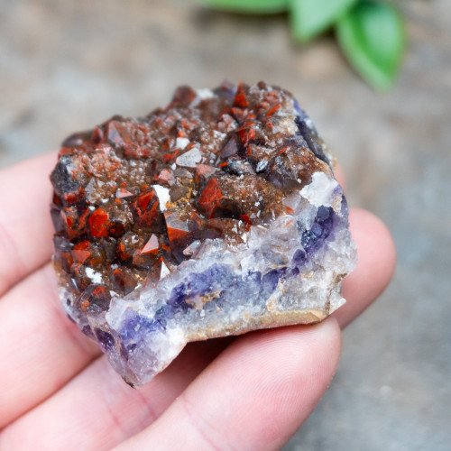 Alien Amethyst #2