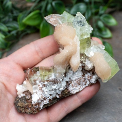 Green Apophyllite with Stilbite and Scolocite #7