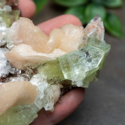 Green Apophyllite with Stilbite and Scolocite #7