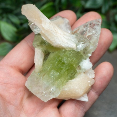 Green Apophyllite with Stilbite and Scolocite #6