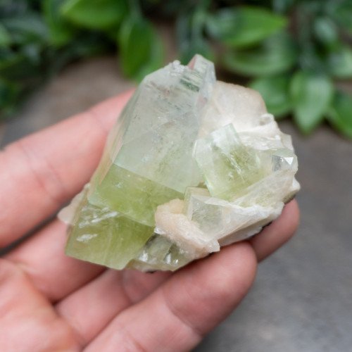Green Apophyllite with Stilbite and Scolocite #4