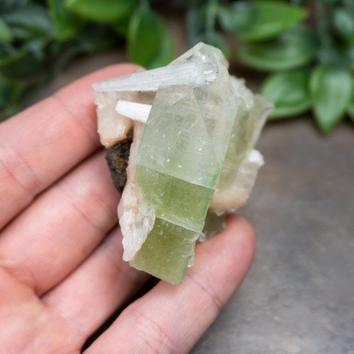 Green Apophyllite with Stilbite and Scolocite #4