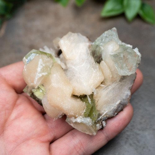 Green Apophyllite with Stilbite and Scolocite #3