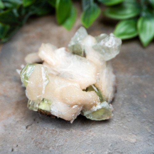 Green Apophyllite with Stilbite and Scolocite #3