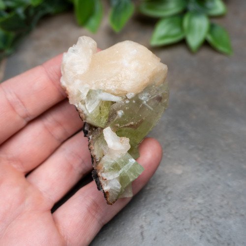 Green Apophyllite with Stilbite and Scolocite #2