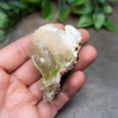 Green Apophyllite with Stilbite and Scolocite #2