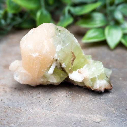 Green Apophyllite with Stilbite and Scolocite #2