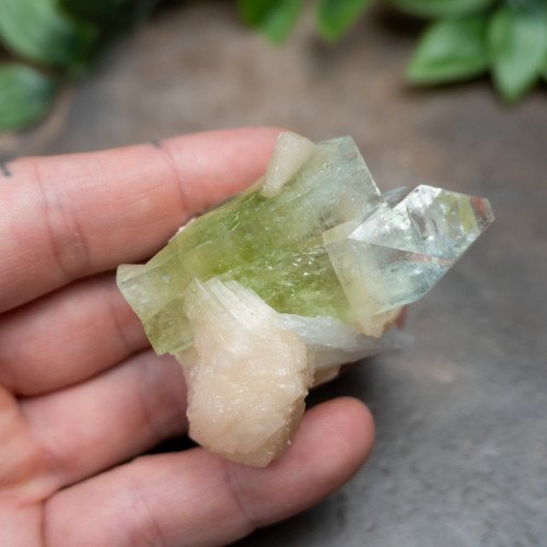Green Apophyllite with Stilbite and Scolocite #1