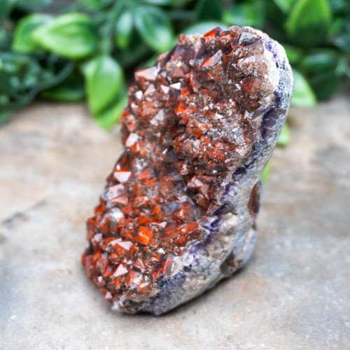 Alien Amethyst #1