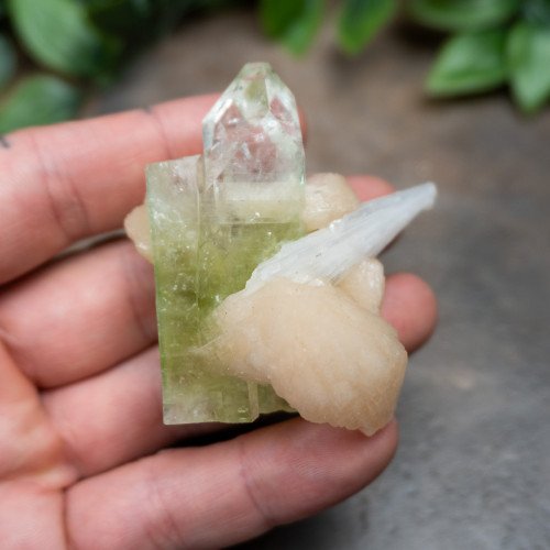 Green Apophyllite with Stilbite and Scolocite #1