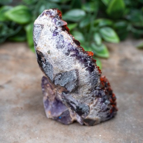 Alien Amethyst #1