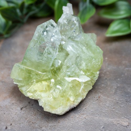 Green Apophyllite #1