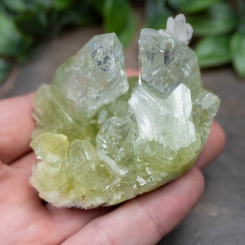 Green Apophyllite #1