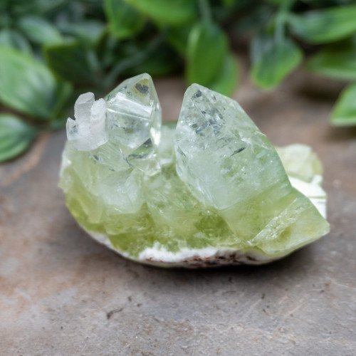 Green Apophyllite #1