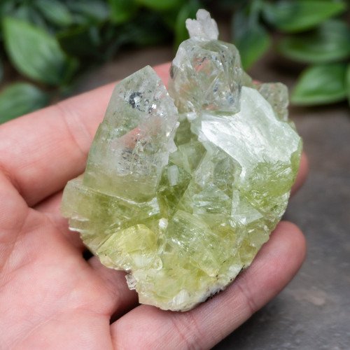 Green Apophyllite #1