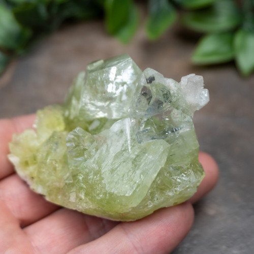 Green Apophyllite #1