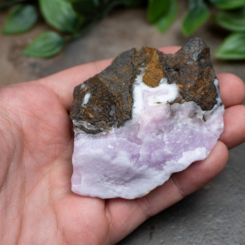 Pink Aragonite #5