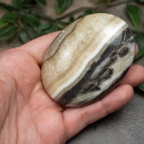 XL Zebra Calcite Palmstone #2
