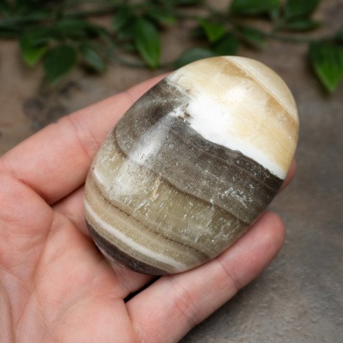 XL Zebra Calcite Palmstone #1