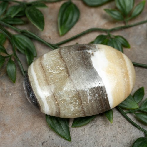 XL Zebra Calcite Palmstone #1