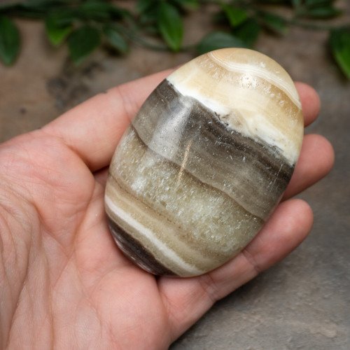 XL Zebra Calcite Palmstone #1