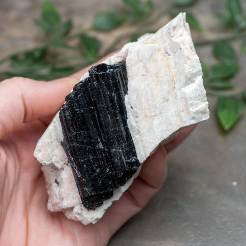Black Tourmaline on Feldspar #1