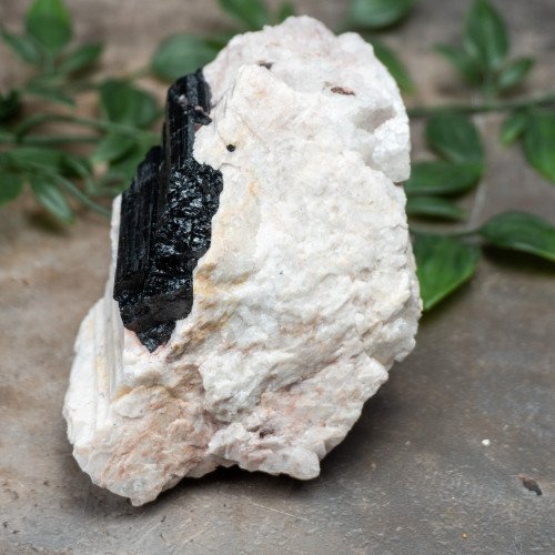 Black Tourmaline on Feldspar #1