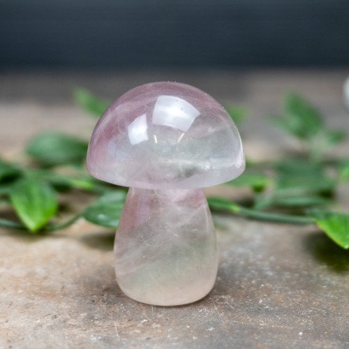 Fluorite Mushroom #9