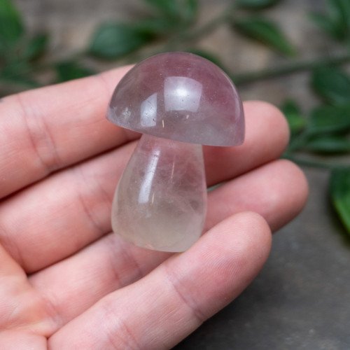 Fluorite Mushroom #9