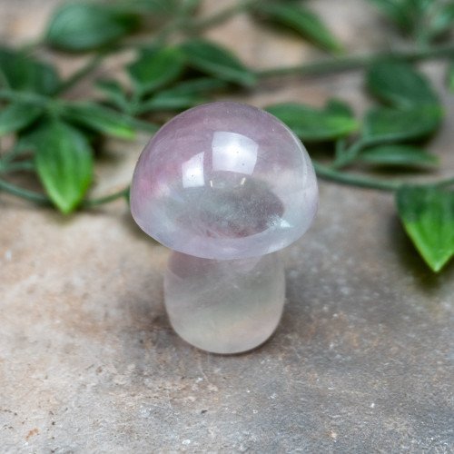 Fluorite Mushroom #9