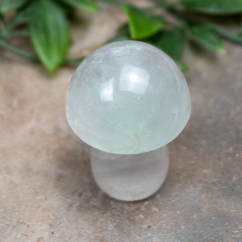 Fluorite Mushroom #8