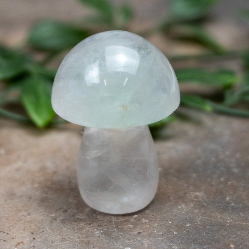 Fluorite Mushroom #8
