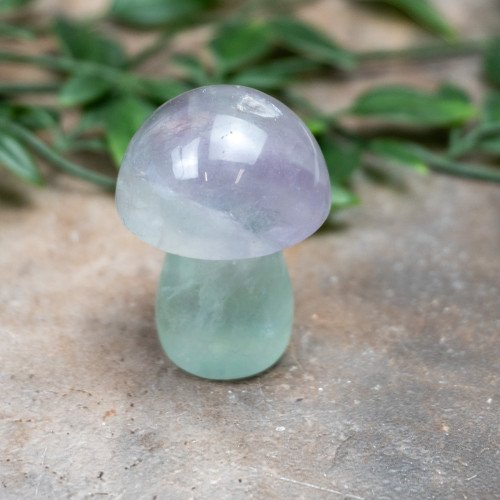 Fluorite Mushroom #7