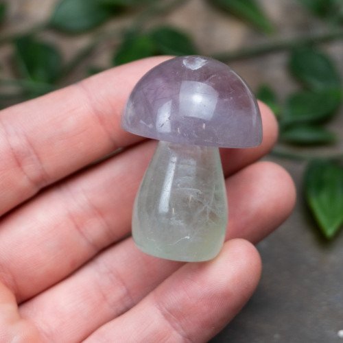 Fluorite Mushroom #7