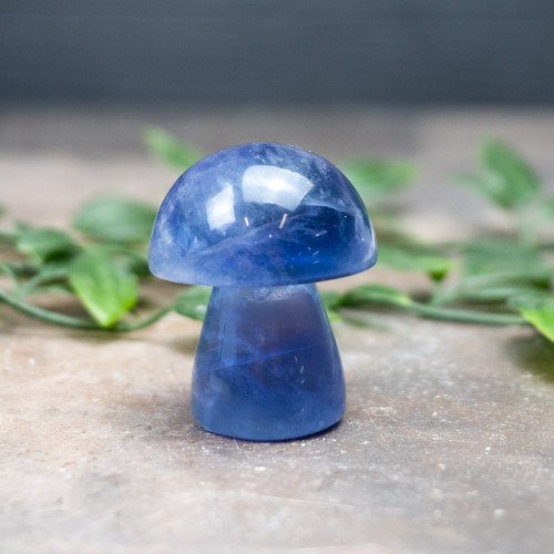 Fluorite Mushroom #6