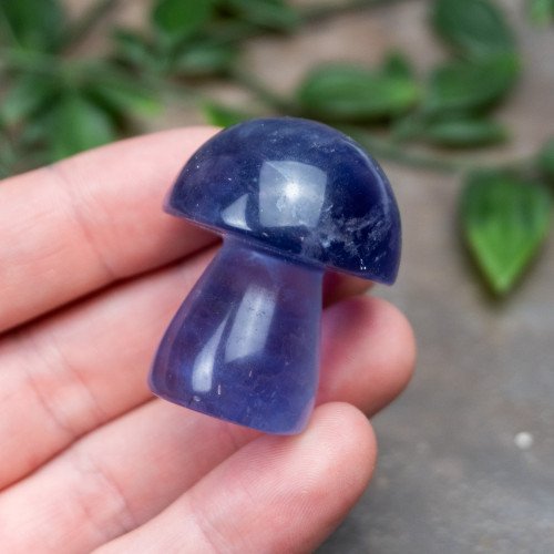 Fluorite Mushroom #6