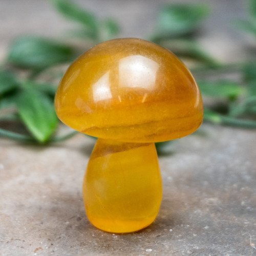 Fluorite Mushroom #5