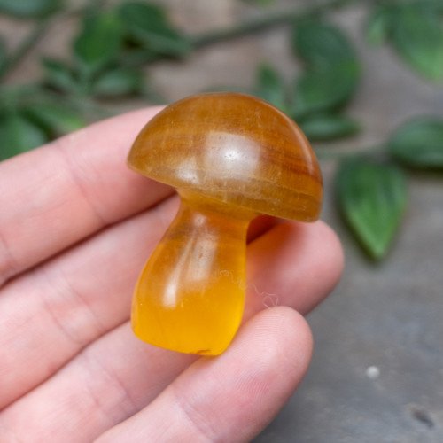 Fluorite Mushroom #5