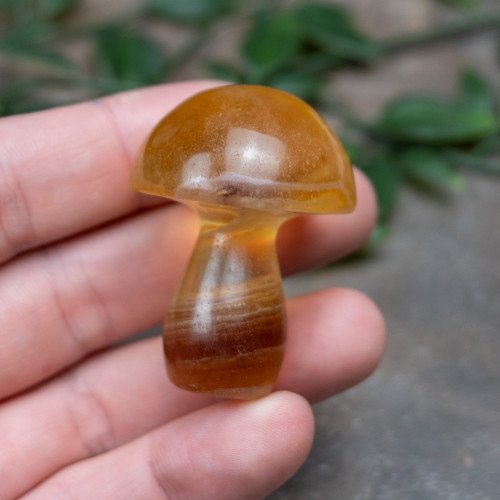 Fluorite Mushroom #4