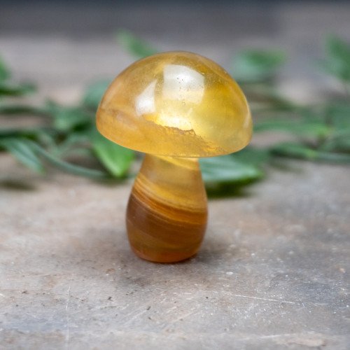 Fluorite Mushroom #4