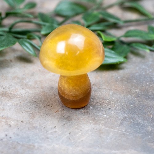 Fluorite Mushroom #4