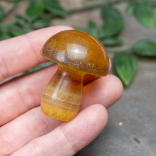 Fluorite Mushroom #3