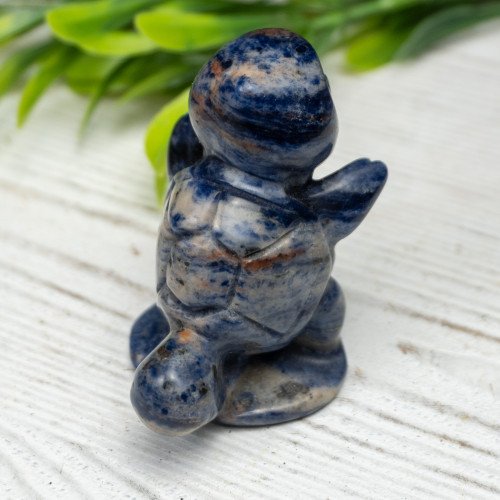 Blue Aventurine Squirtle