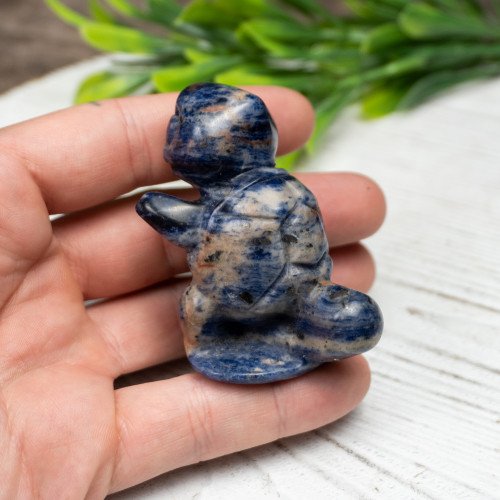 Blue Aventurine Squirtle