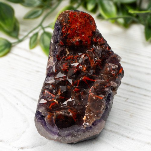 Alien Amethyst #8