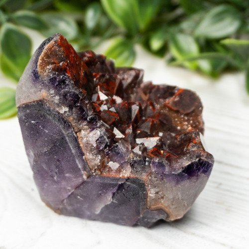 Alien Amethyst #8