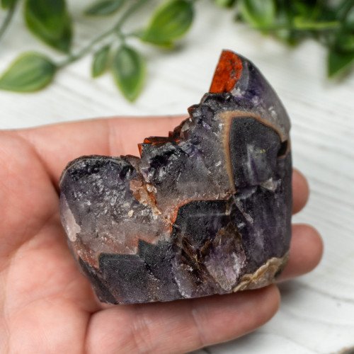 Alien Amethyst #8