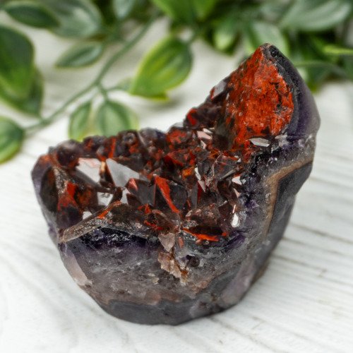 Alien Amethyst #8