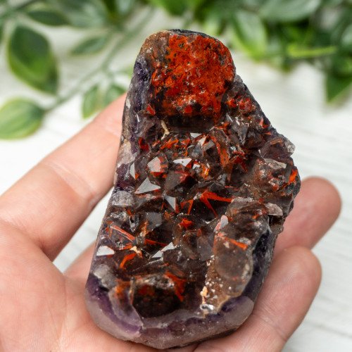 Alien Amethyst #8