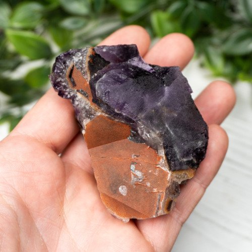 Alien Amethyst #7